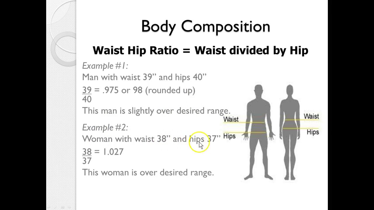 You are currently viewing Body Composition Calculations for Health Fitness Professionals