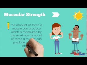 Read more about the article The 5 Components of Health Related Fitness