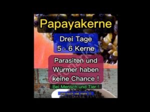 Read more about the article Papayakerne #papaya #gesundheit #parasiten #tips #diy #fürdich #fyp #tonarkoy #beauty