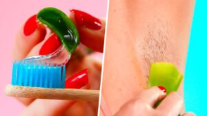 Read more about the article 8 AMAZING WAYS TO USE ALOE VERA