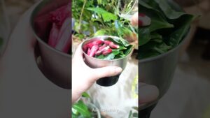 Read more about the article Hair Mask For Silky Smooth & Shiny Hair#shorts #smoothhair #silkyhair#aloveraoil #frizzyhair