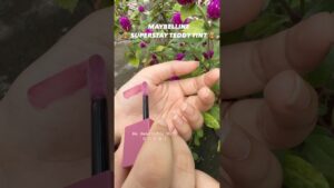 Read more about the article Maybelline Teddy lip and cheek tint| unbiased review