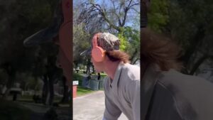 Read more about the article My type of hybrid training #skateboarding #fitness #health #activelifestyle #skater