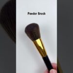 6 Makeup Essentials Every Beginner Needs