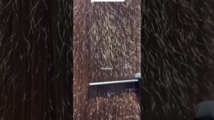 Read more about the article This hair tool is RUINING your hair!! #hair #haircare #shorts