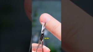 Read more about the article Never Pull Off Peeling Skin Around Your Nails!
